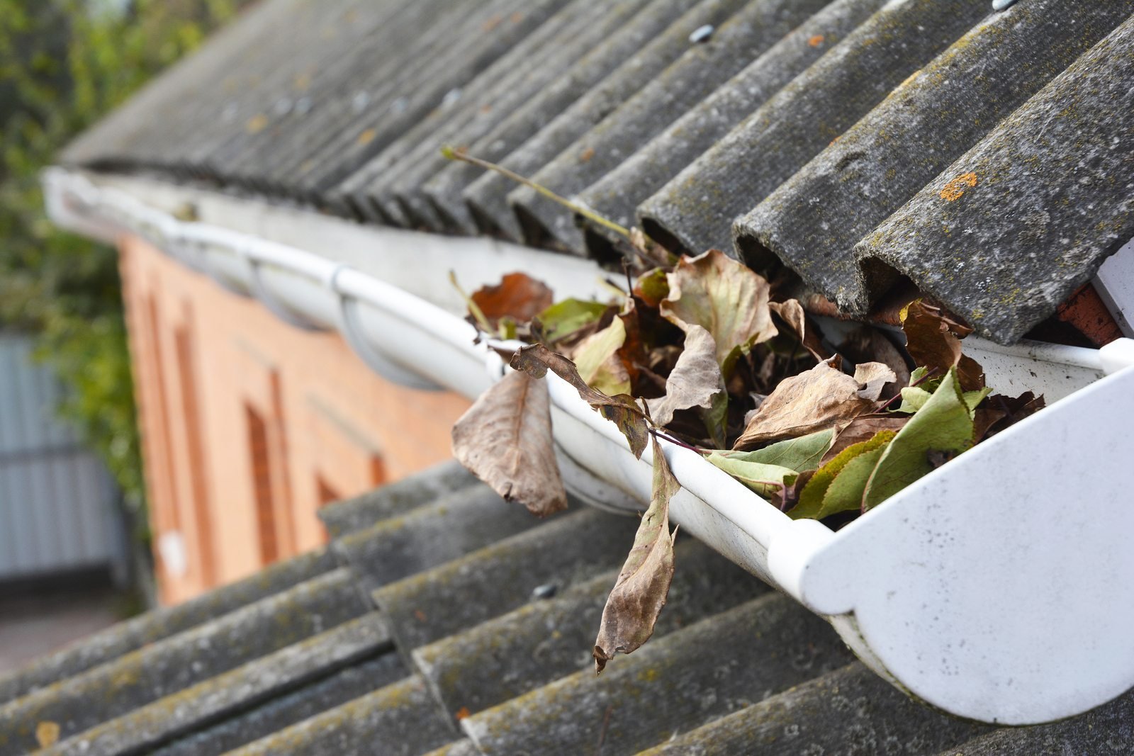 Gutter Clearing Service
